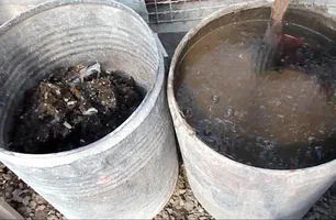 تصویر 3 از راهنمای خرید کود مرغی غنی از نیتروژن و مواد مغذی + قیمت عالی